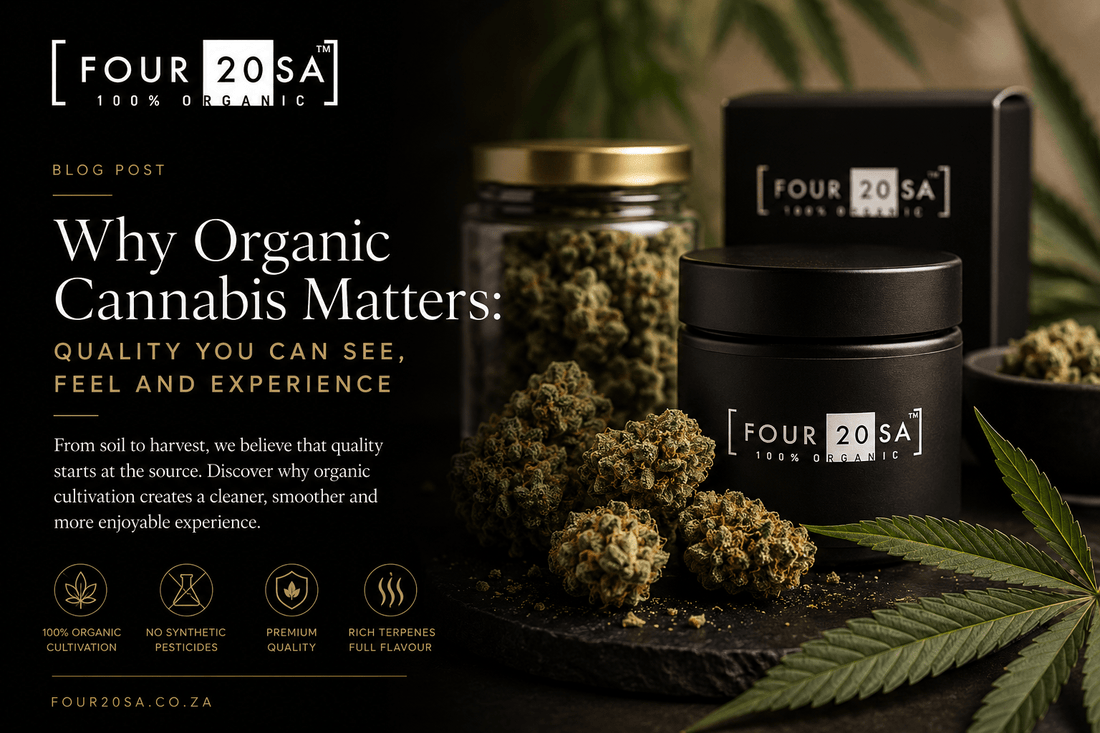 Why Organic Cannabis Matters: Quality You Can See, Feel and Experience - Four20SA