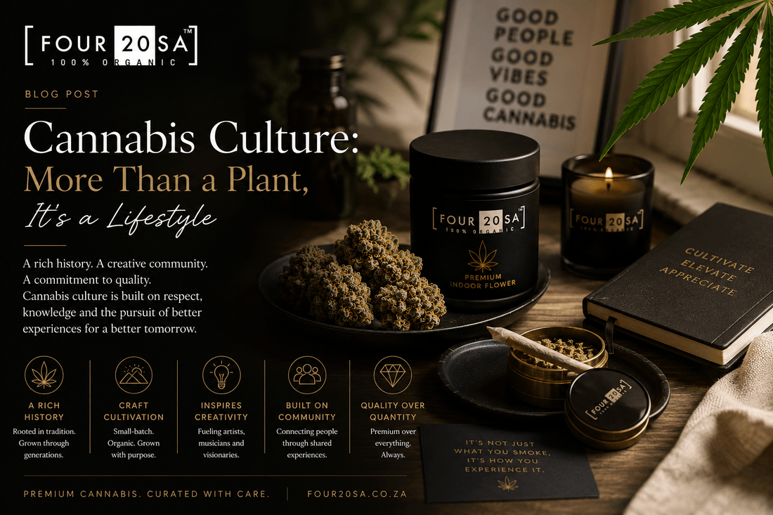 Cannabis Culture: More Than a Plant, It’s a Lifestyle - Four20SA