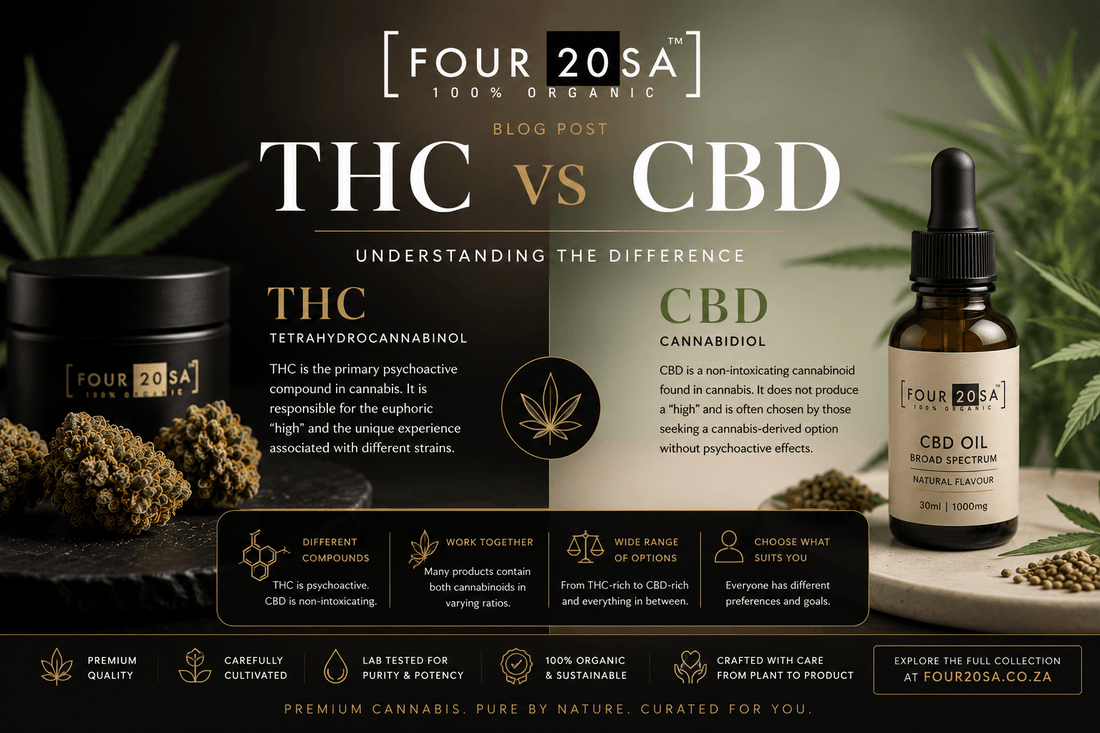 THC vs CBD: Understanding the Difference - Four20SA