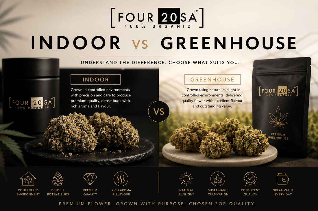 Indoor vs Greenhouse Cannabis: What’s the Difference? - Four20SA