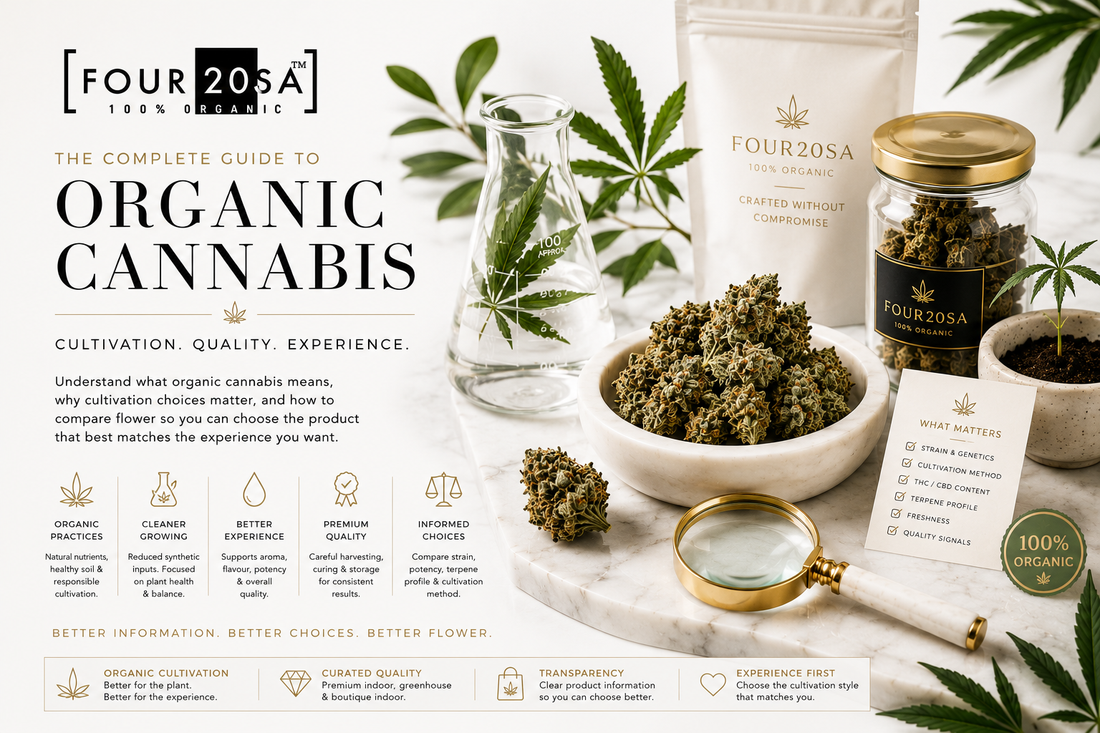What Is Organic Cannabis? A Complete Guide to Cultivation & Quality