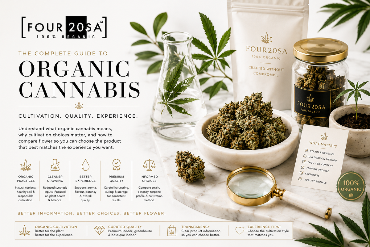 What Is Organic Cannabis? A Complete Guide to Cultivation & Quality