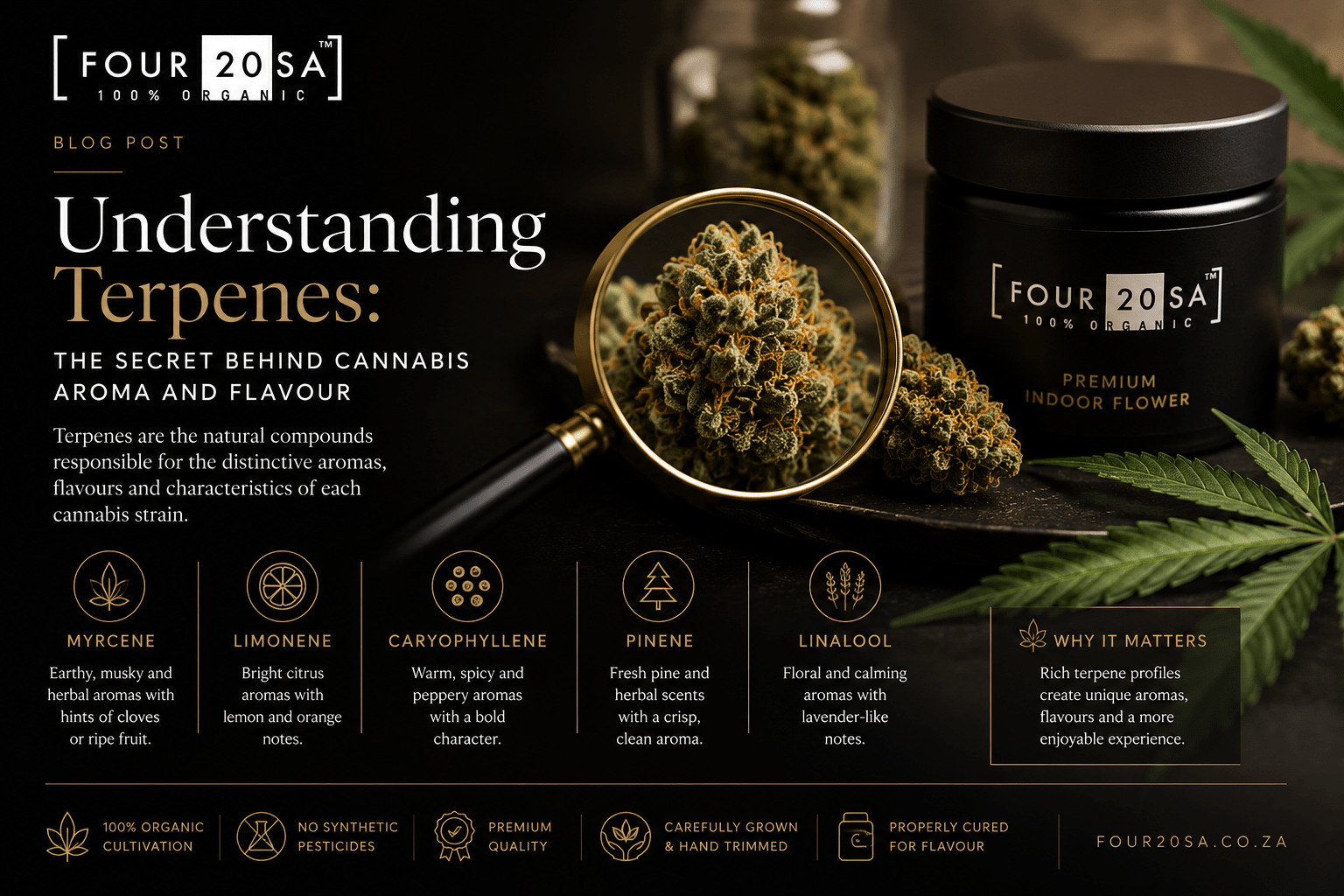 Understanding Terpenes: The Secret Behind Cannabis Aroma and Flavour - Four20SA