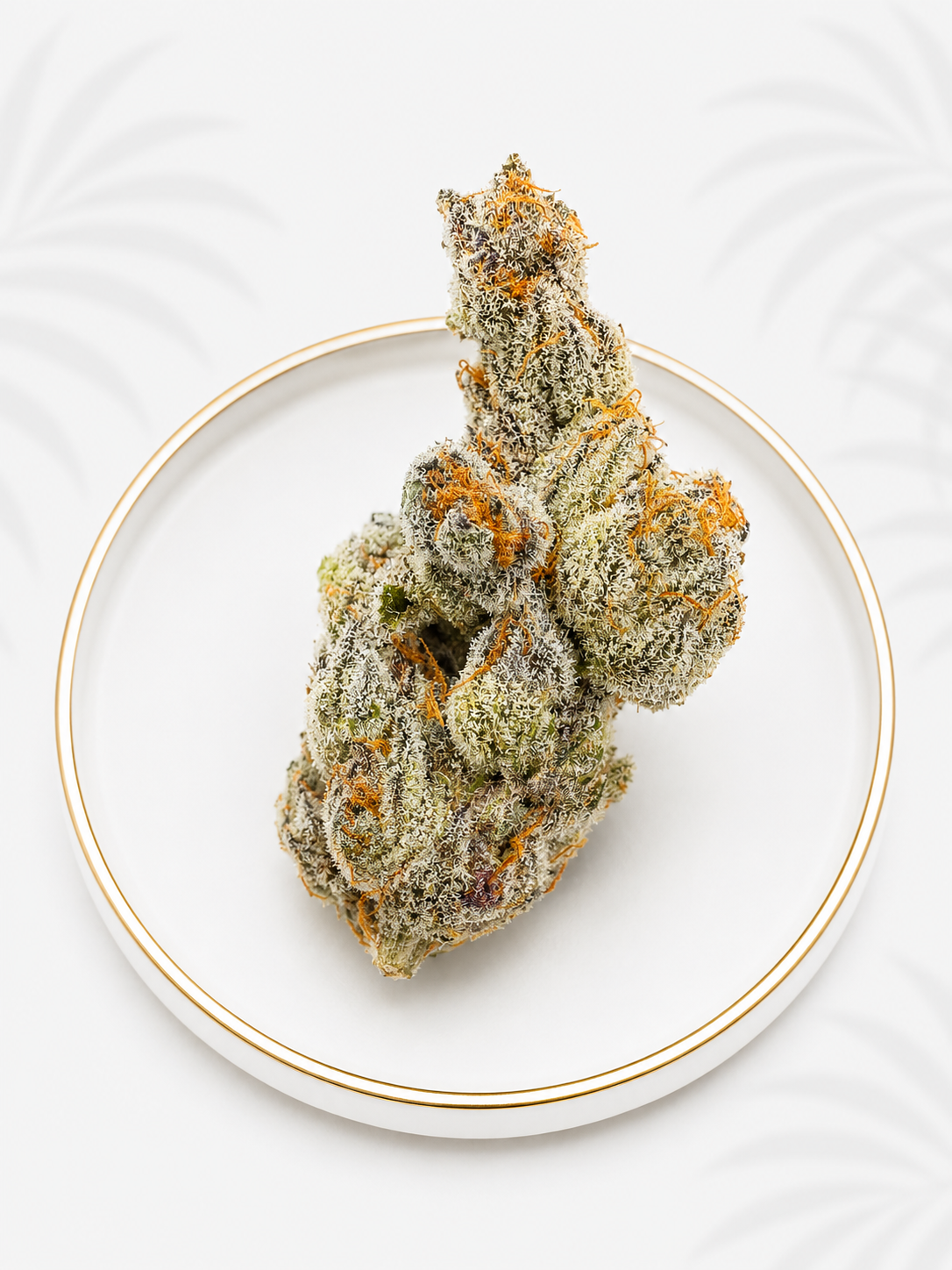 Boutique Indoor Strains