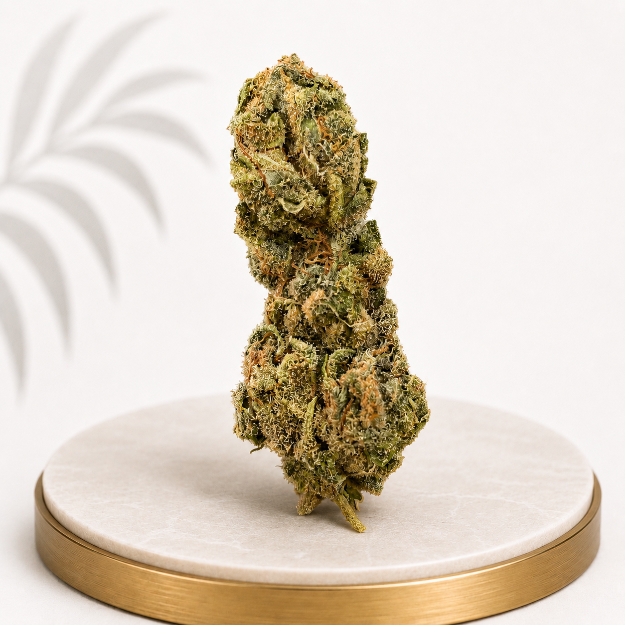 Premium Greenhouse Strains - Four20SA