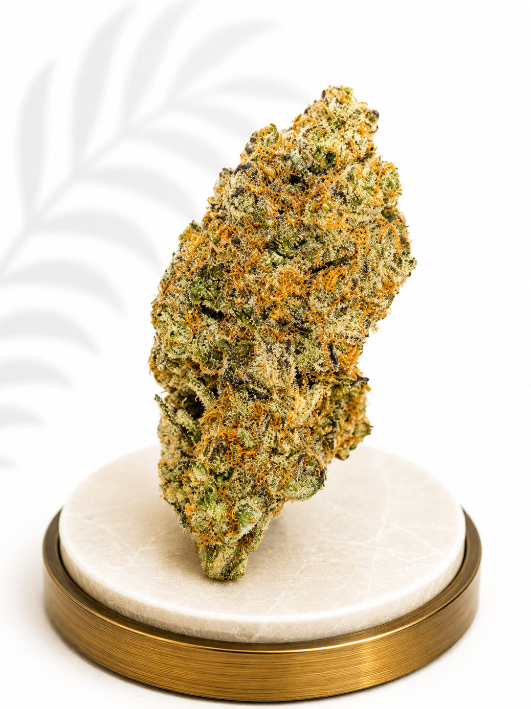 Premium Indoor Strains - Four20SA