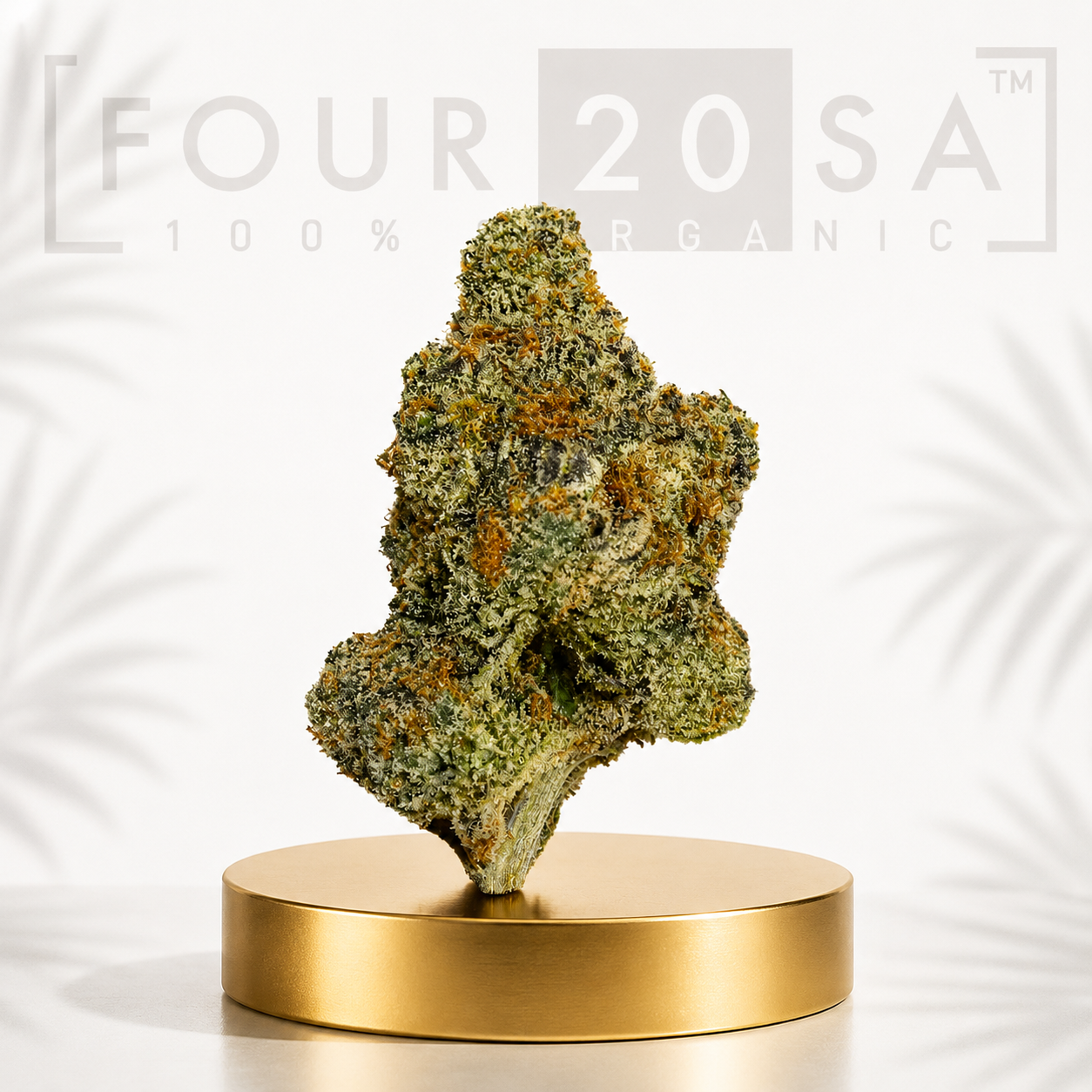 Boutique Indoor Godfather OG Indica-Dominant 34% THC