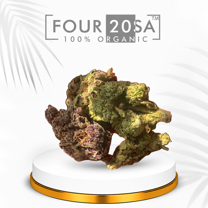 Premium Greenhouse Do-Si-Dos – Indica-Dominant Hybrid | 30% THC