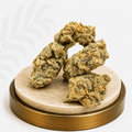 Standard Greenhouse Dutch Treat Hybrid 18% THC - Four20SA