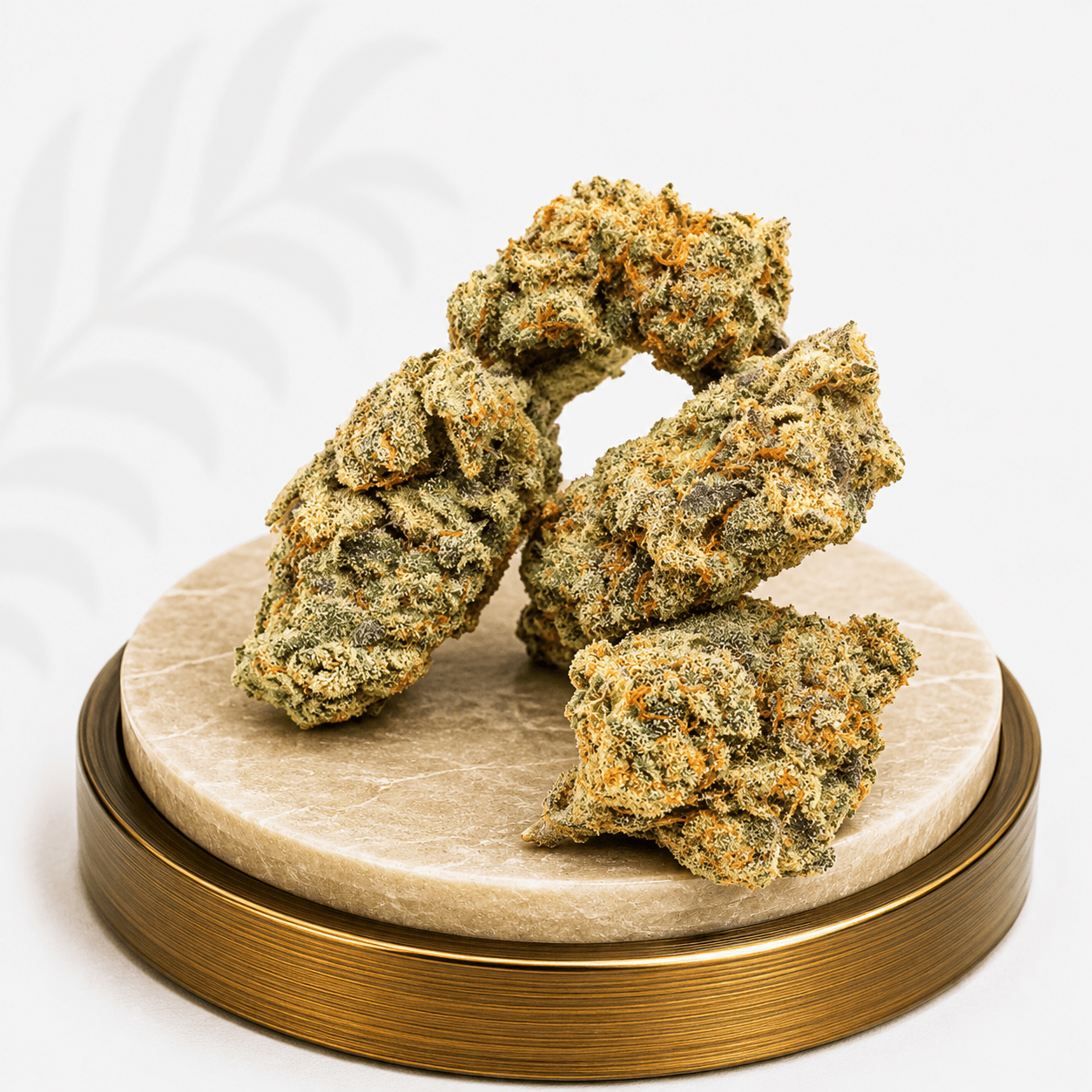 Standard Greenhouse Dutch Treat Hybrid 18% THC - Four20SA