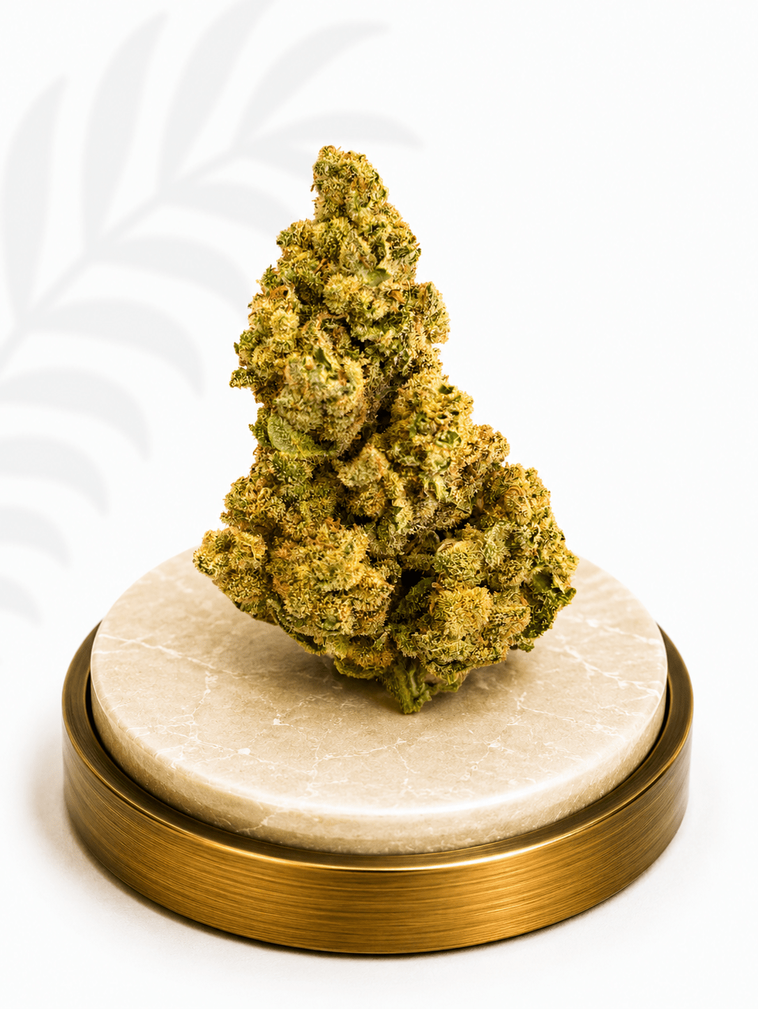 Premium Greenhouse Blue Dream Hybrid 18% THC - Four20SA