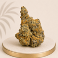 Premium Indoor Green Crack Hybrid 24% THC - Four20SA