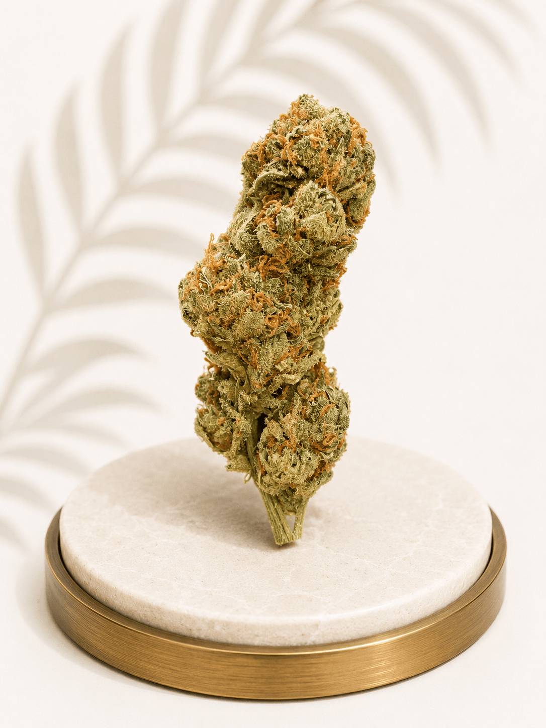 Premium Greenhouse Candyland Sativa 19% THC - Four20SA
