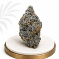 Premium Indoor White Durban Sativa-Dominant 23% THC - Four20SA