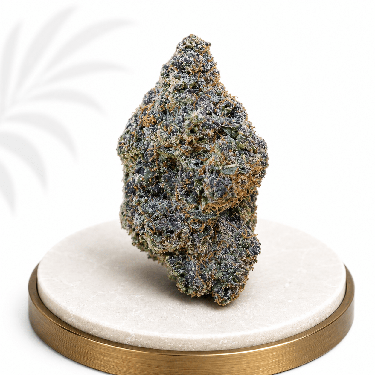Premium Indoor White Durban Sativa-Dominant 23% THC - Four20SA