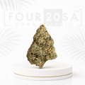 Premium Greenhouse Blue Dream Hybrid 18% THC