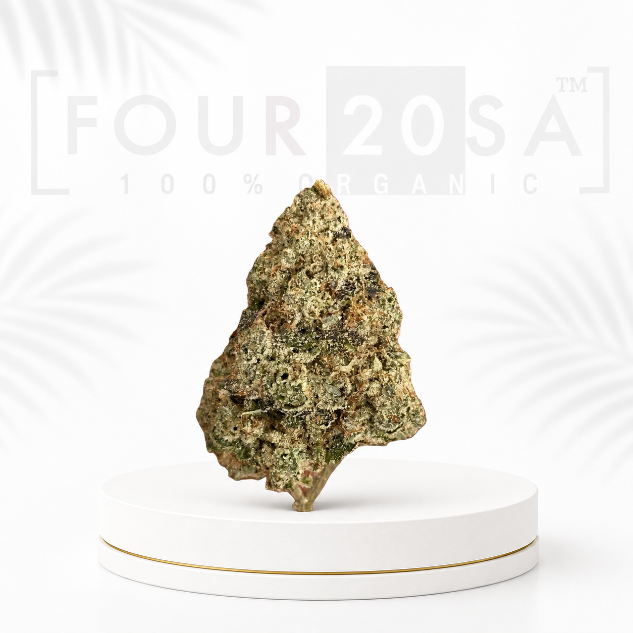 Premium Greenhouse Blue Dream Hybrid 18% THC