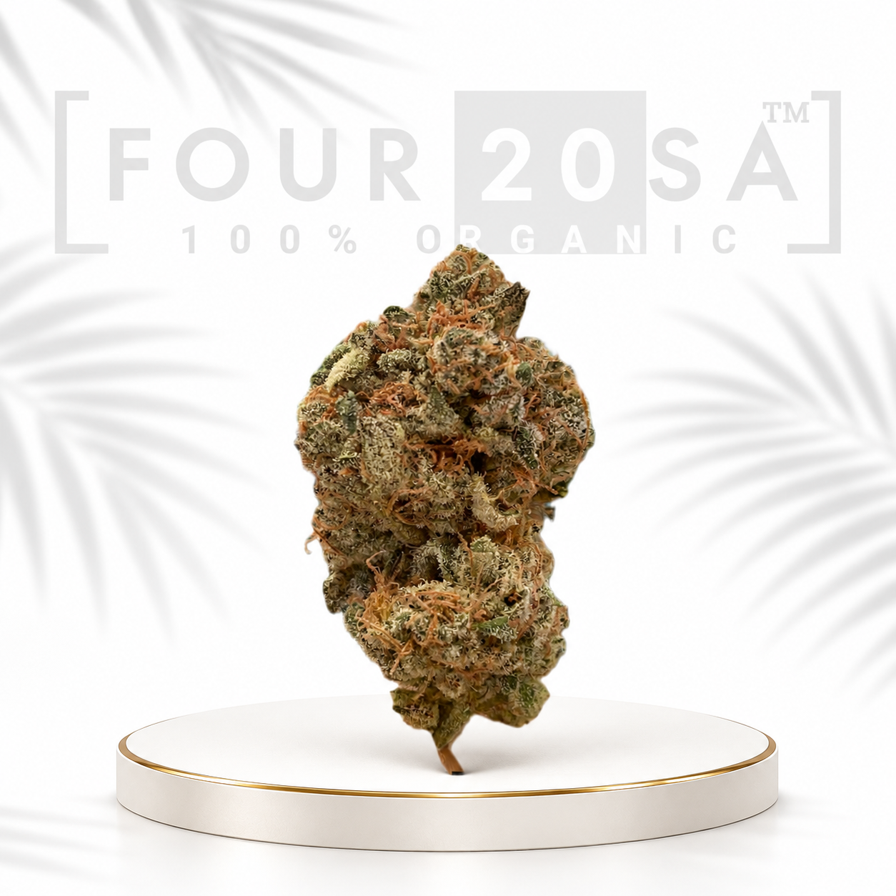 Standard Indoor Face Off OG Indica-Dominant Hybrid 22% THC
