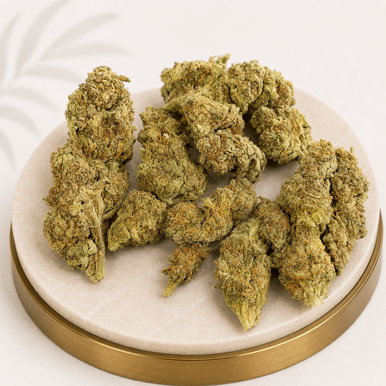 Premium Greenhouse Atomic Northern Lights Indica 19% THC - Four20SA
