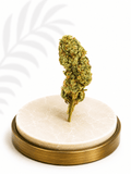 Premium Greenhouse White Widow Hybrid 15% THC - Four20SA
