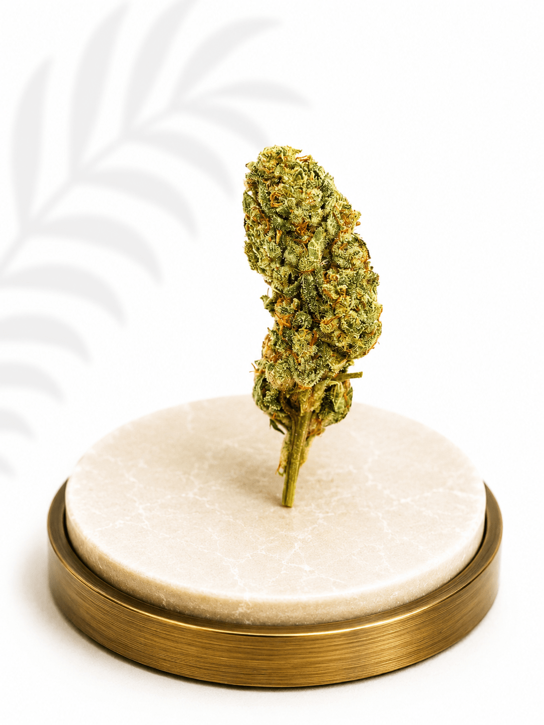 Premium Greenhouse White Widow Hybrid 15% THC - Four20SA