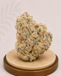 Premium Indoor White Truffle Indica-Dominant Hybrid 25% THC