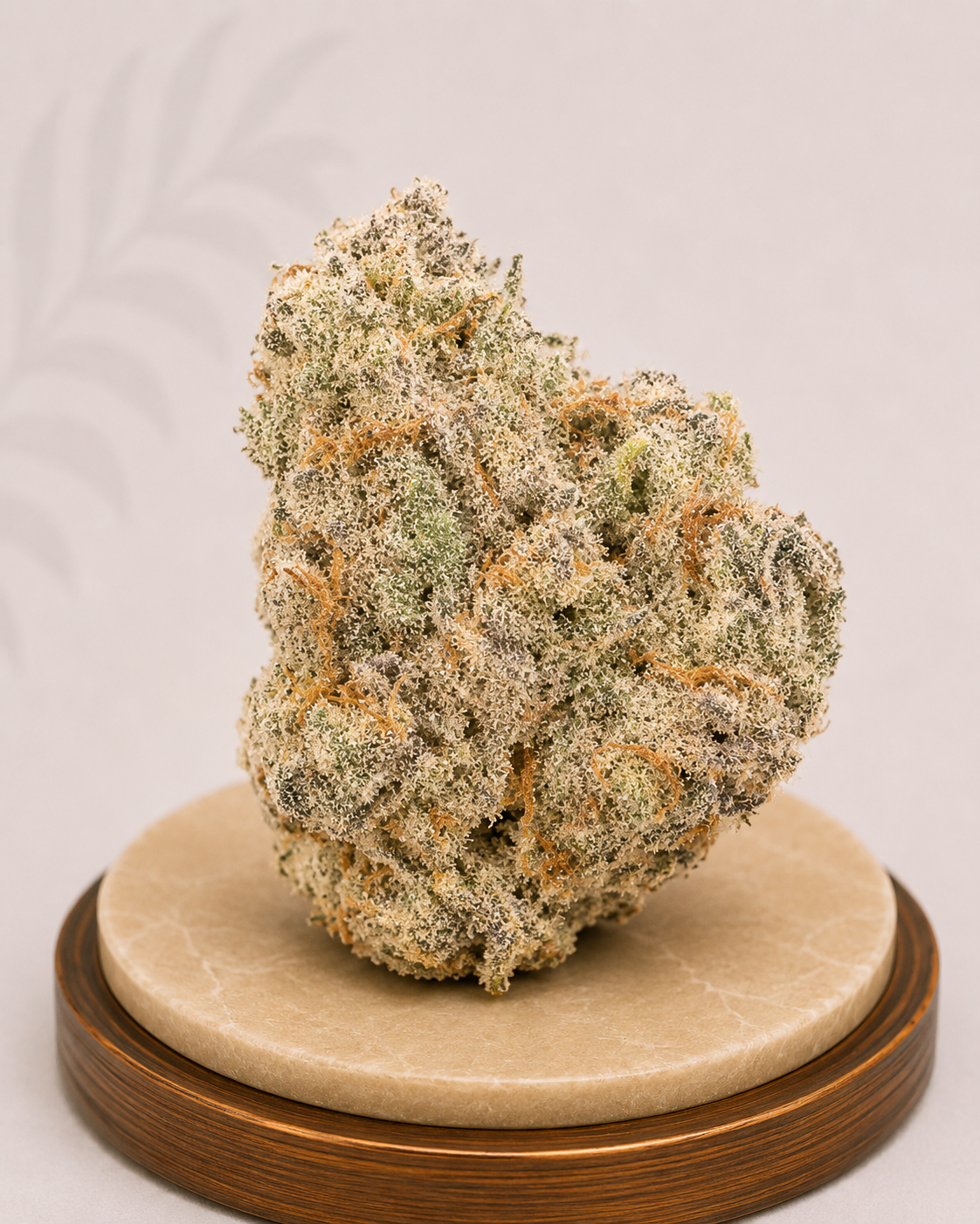 Premium Indoor White Truffle Indica-Dominant Hybrid 25% THC