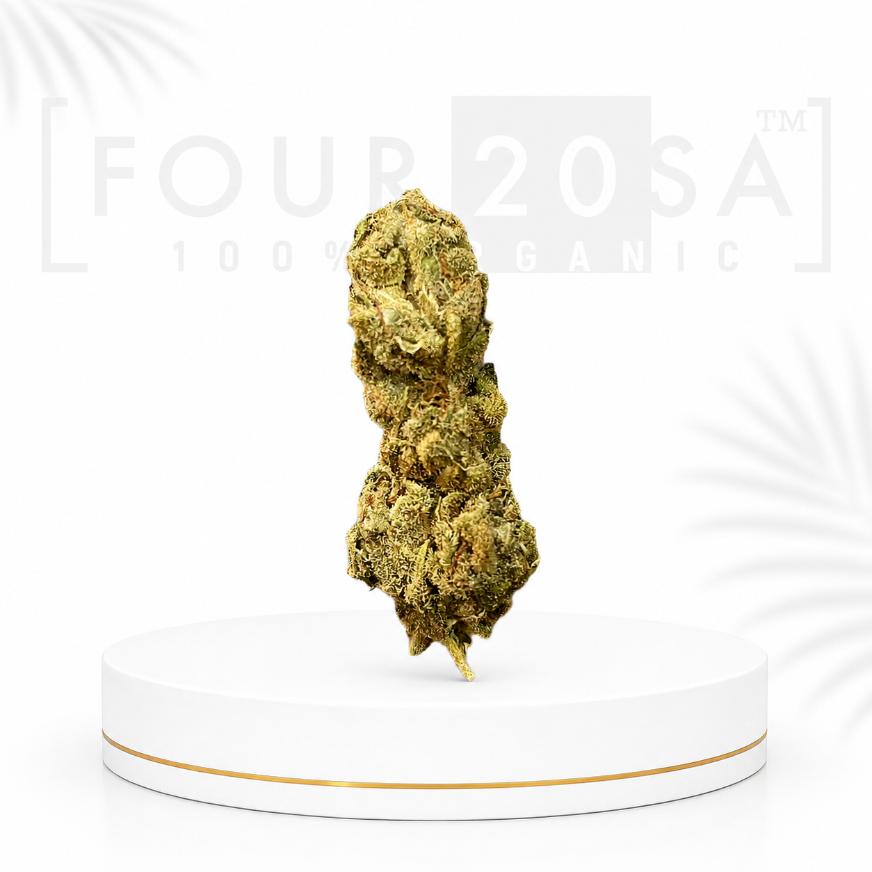 Premium Greenhouse Candyland Sativa 19% THC