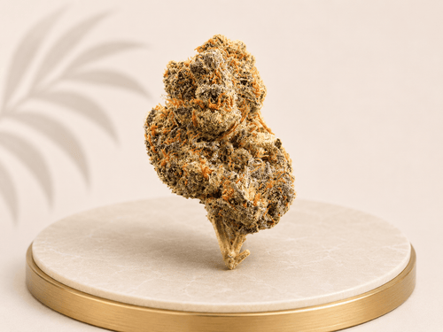 Boutique Indoor Godfather OG Indica-Dominant 34% THC - Four20SA