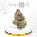 Exotic Boutique Indoor Apollo Landing – Indica-Dominant Hybrid | 20% THC