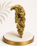 Premium Greenhouse Chemdawg Hybrid 18% THC - Four20SA