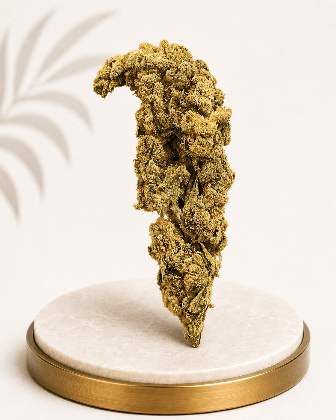 Premium Greenhouse Chemdawg Hybrid 18% THC - Four20SA