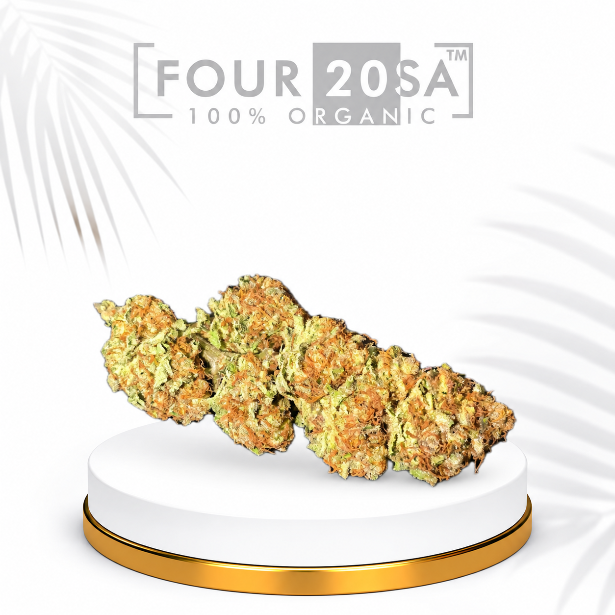 Premium Greenhouse Cotton Candy – Indica-Dominant Hybrid | 22% THC