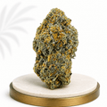 Premium Indoor Lilac Diesel Hybrid 24% THC - Four20SA