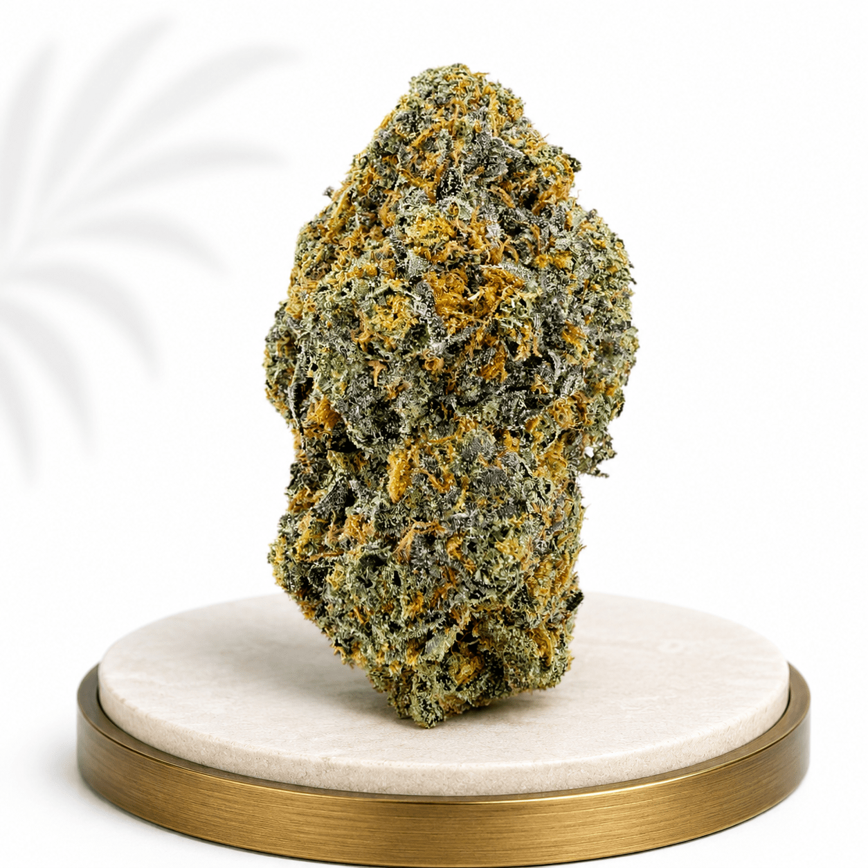 Premium Indoor Lilac Diesel Hybrid 24% THC - Four20SA