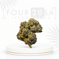 Boutique Indoor XJ-13 Sativa-Dominant Hybrid 30% THC