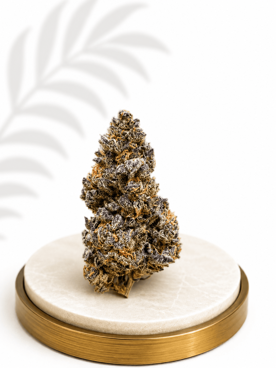 Boutique Indoor Animal Face Hybrid 30% THC - Four20SA