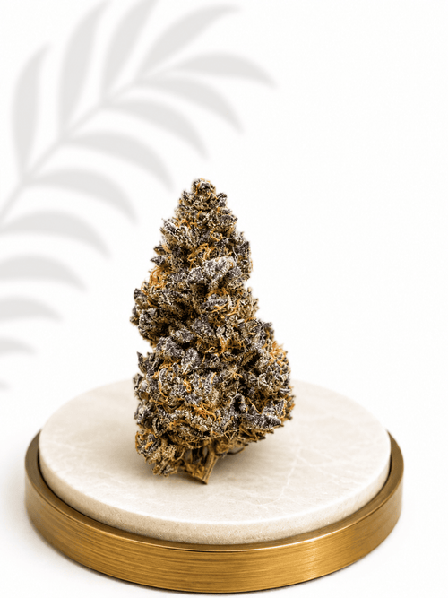 Boutique Indoor Animal Face Hybrid 30% THC - Four20SA