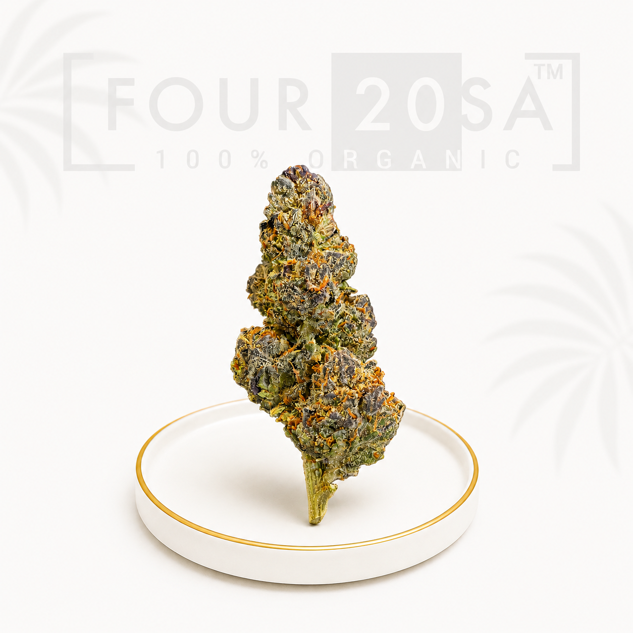 Premium Indoor Wedding Cake Hybrid 28% THC