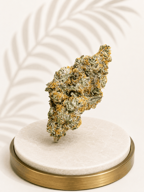 Boutique Indoor Blockberry Hybrid 30% THC - Four20SA