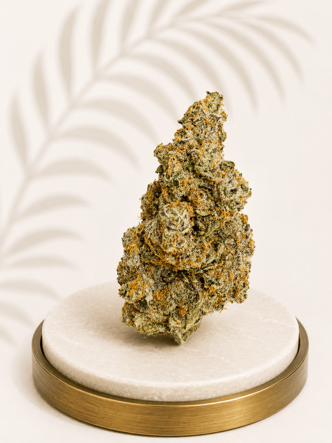 Premium Indoor Cookies & Cream Hybrid 25% THC - Four20SA