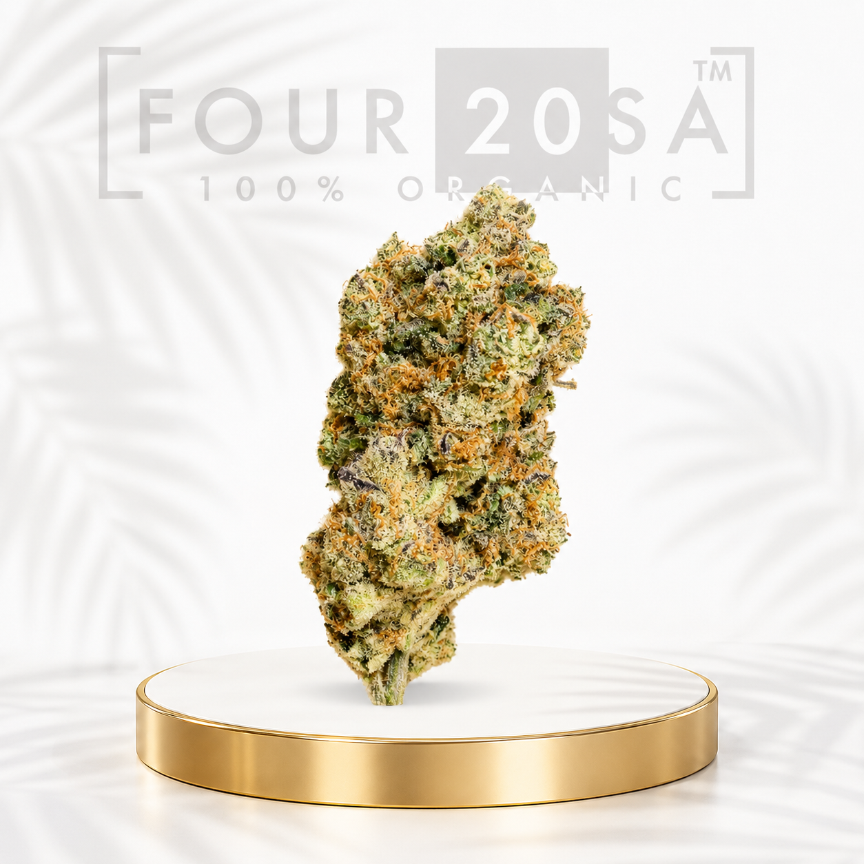 Premium Indoor White Durban Sativa-Dominant 23% THC