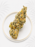 Boutique Indoor Devil Driver Hybrid 32% THC