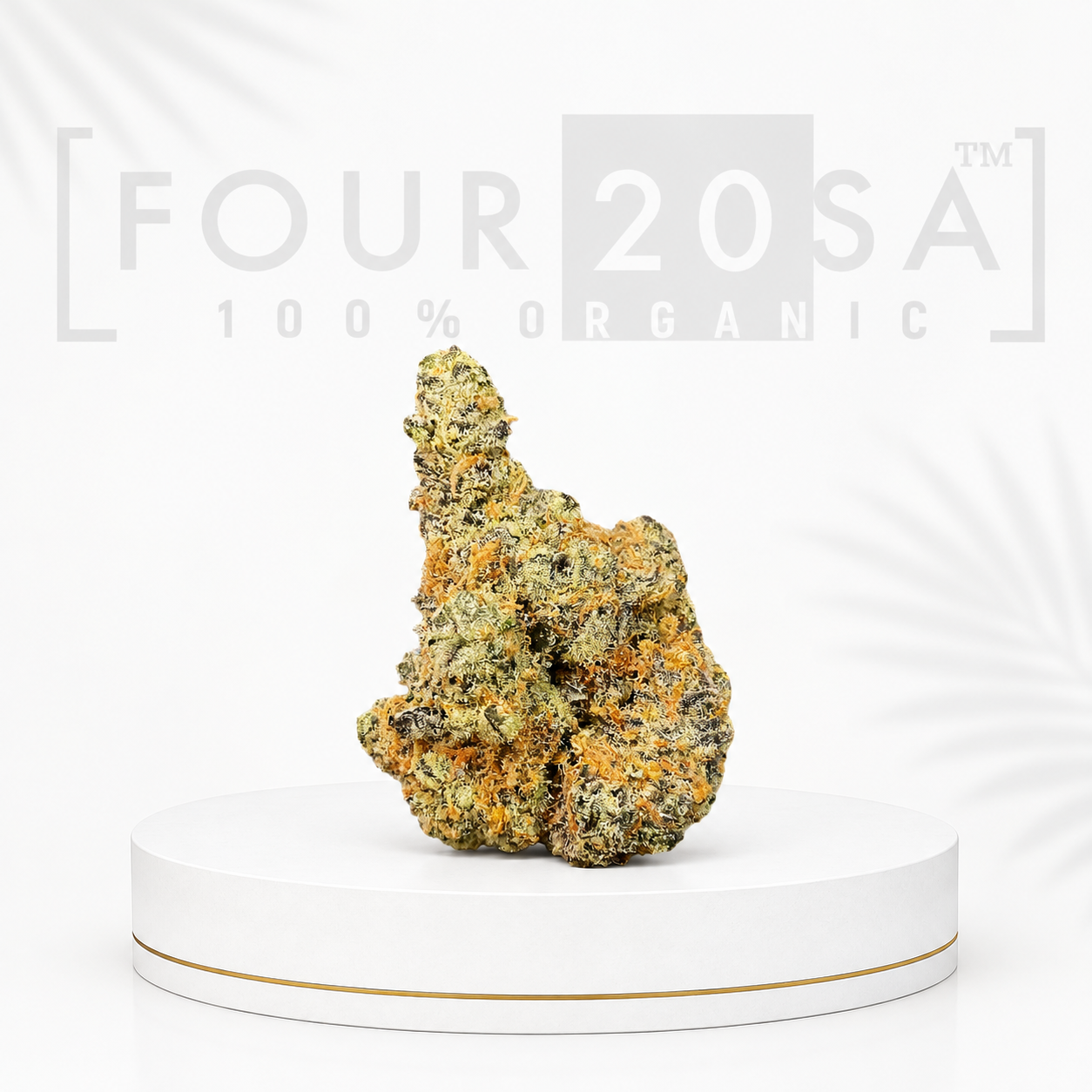 Premium Indoor Green Crack Hybrid 24% THC