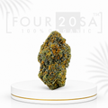 Premium Indoor Lilac Diesel Hybrid 24% THC