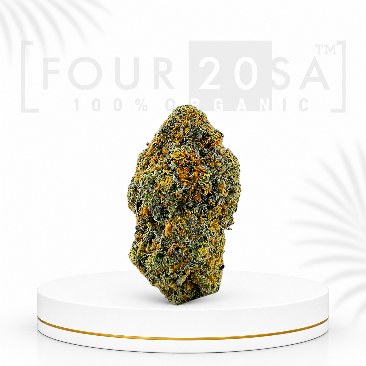 Premium Indoor Lilac Diesel Hybrid 24% THC