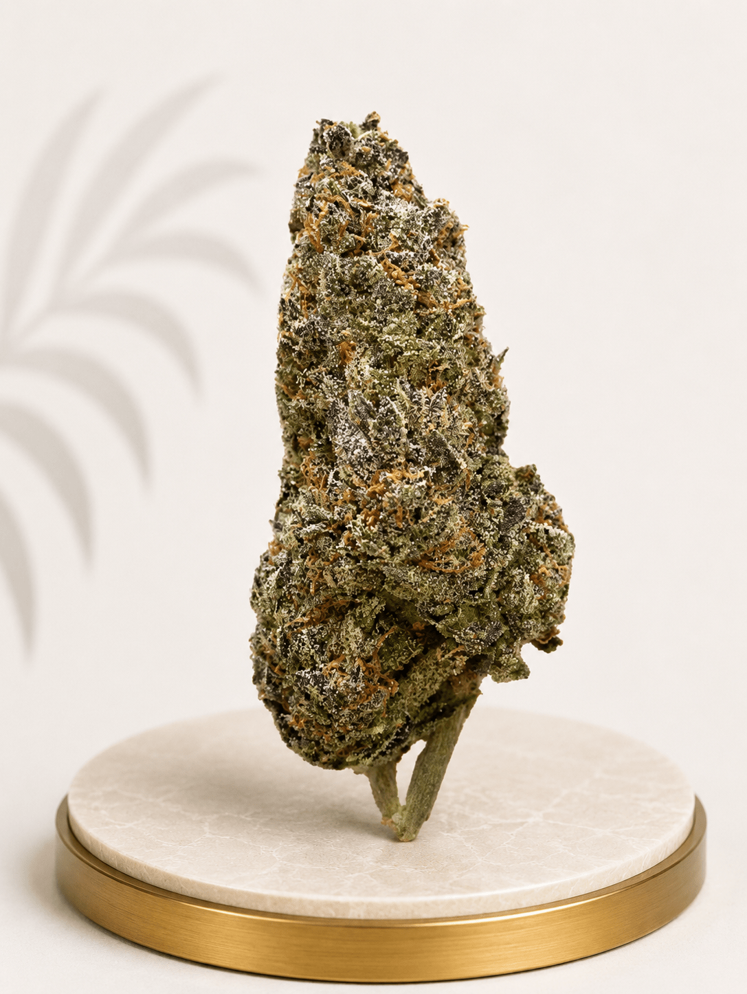 Premium Indoor Wedding Cake Hybrid 28% THC