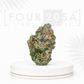 Premium Indoor White Truffle Indica-Dominant Hybrid 25% THC