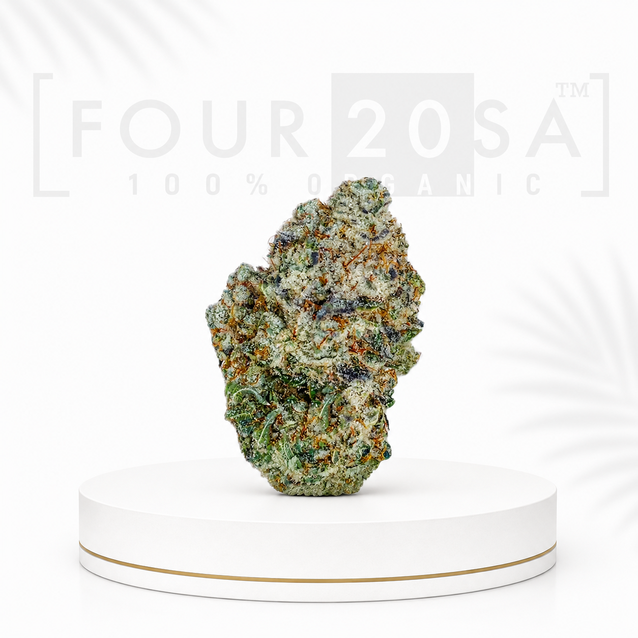 Premium Indoor White Truffle Indica-Dominant Hybrid 25% THC