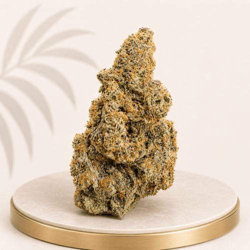 Boutique Indoor Velvet Truffle Indica 28% THC - Four20SA